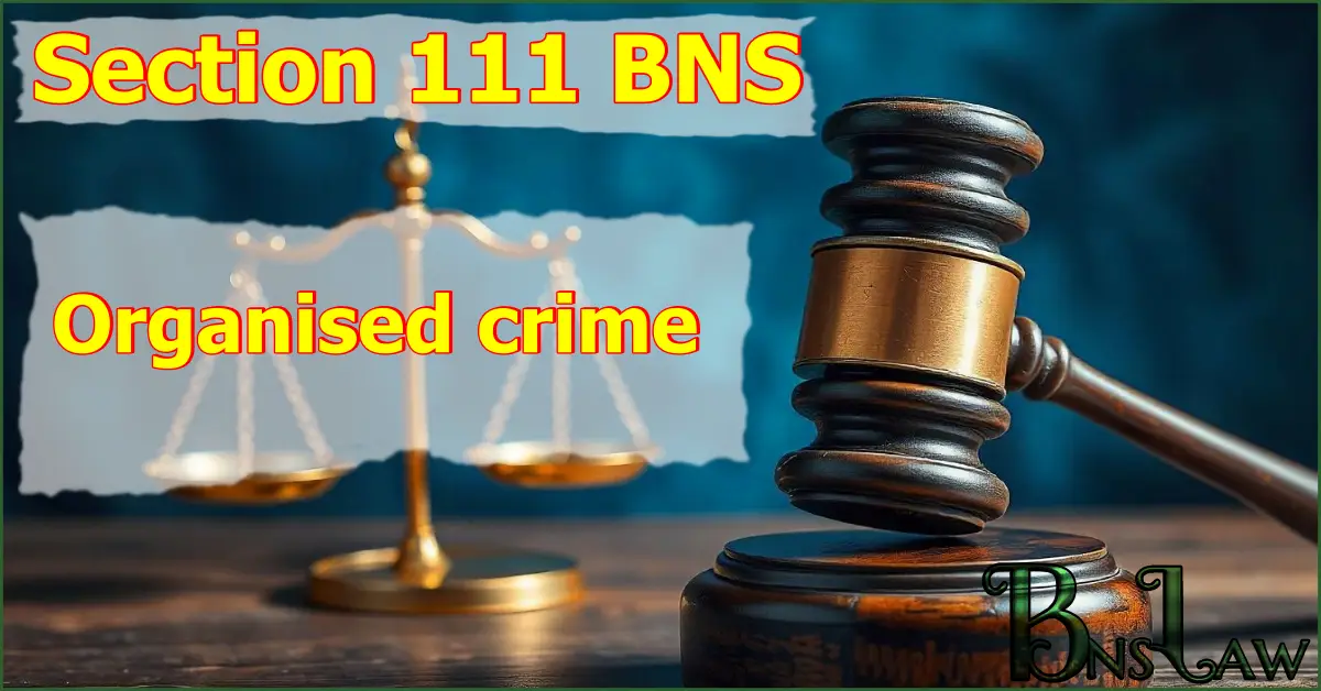 Section 111 BNS: Organised Crime