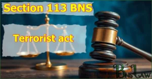 Section 113 BNS: Terrorist act