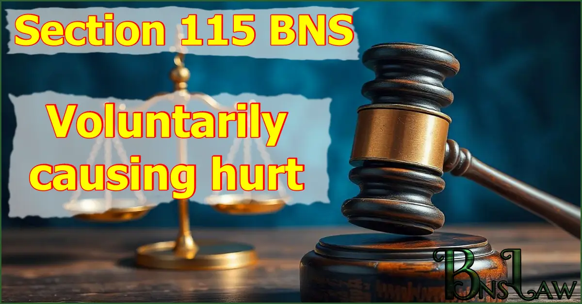 Section 115 BNS: Voluntarily causing hurt