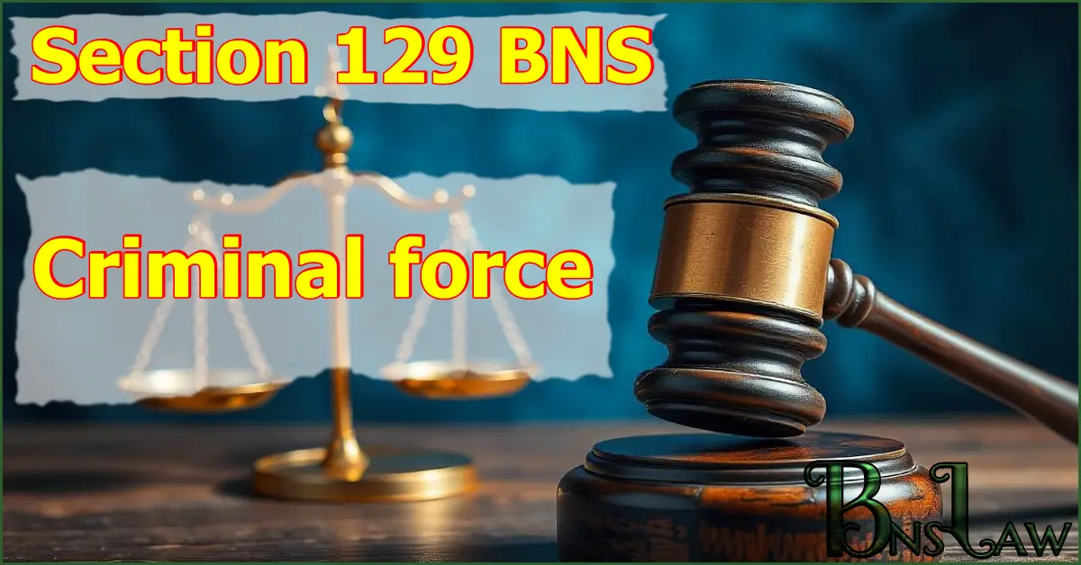 Section 129 BNS: Criminal force