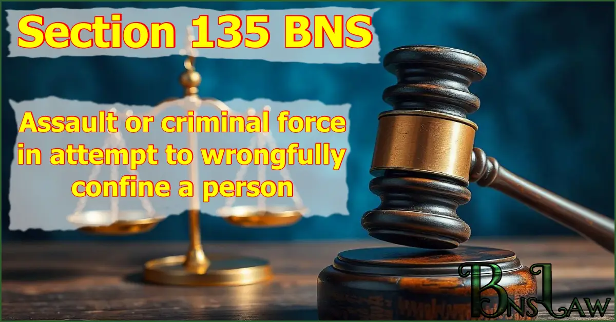 Section 135 BNS: Assault or criminal force in attempt to wrongfully confine a person