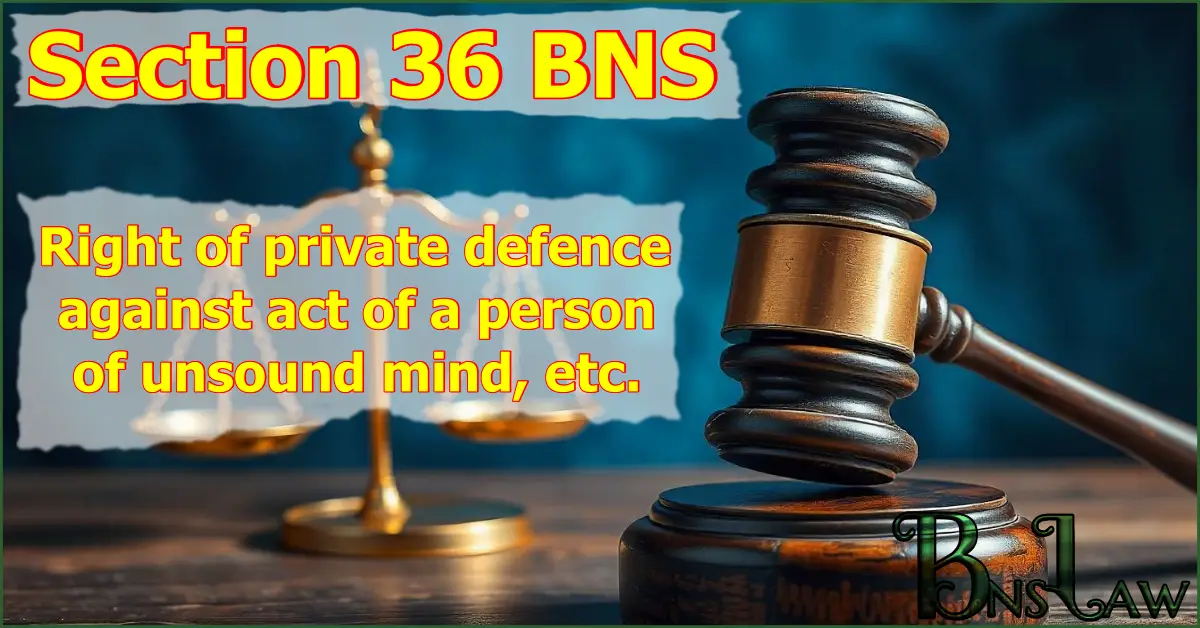 Section 36 BNS: Right of private defence against act of a person of unsound mind, etc