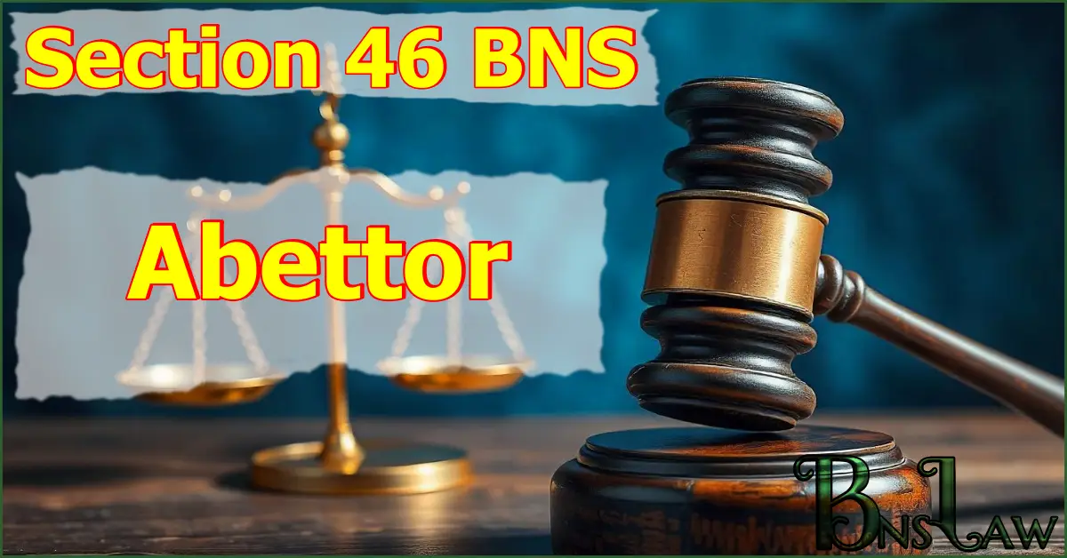 Section 46 BNS: Abettor